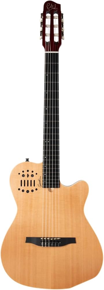 Godin LG ゴダン ソリッドエレキギター Amazon | GODIN (ゴダン) ナイロンギター エレガットギター ACS Nylon